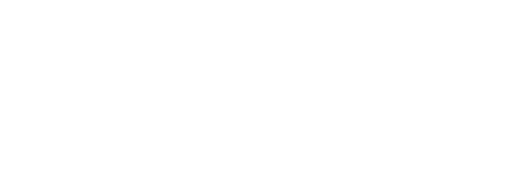 Suzanne Johns Logo